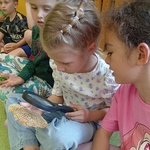 Dziewczyna przez lupę ogląda budowę plastra woskowego