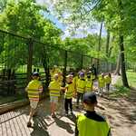 Przedszkolaki spacerują w koło ZOO 