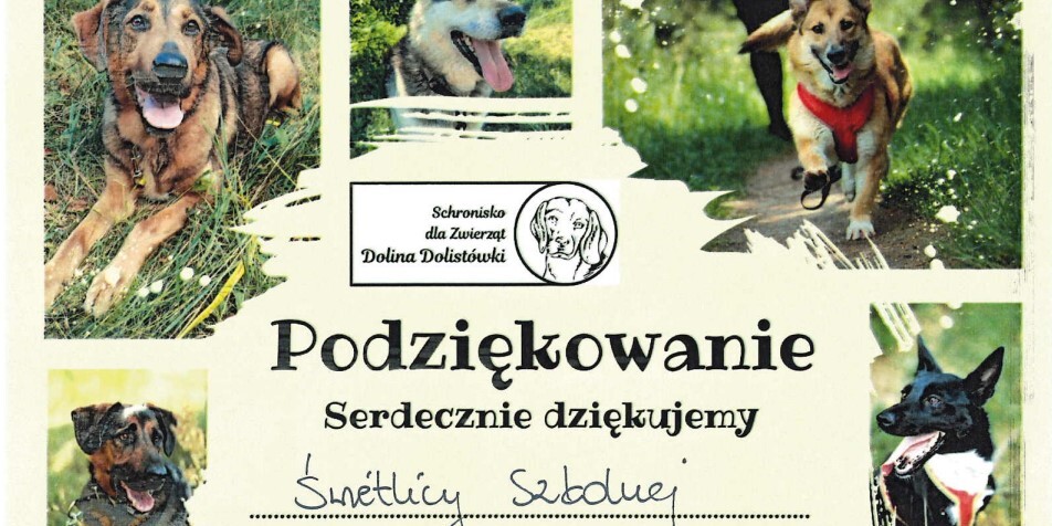 Zrzut ekranu 2026-06-15 111406.jpg