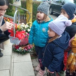 IMG_20211013_101507.jpg