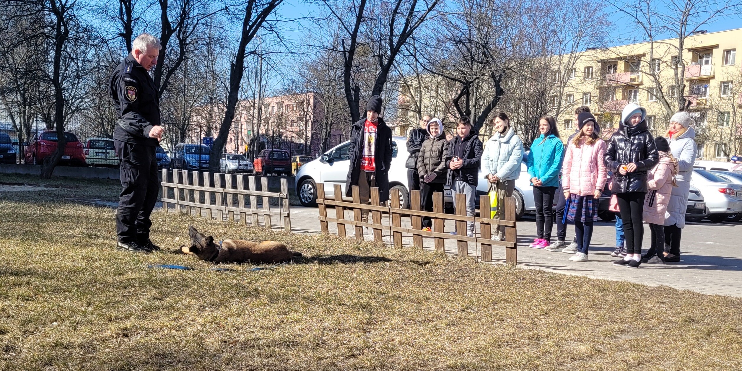 zajęcia_z_psem.jpg