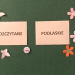rozczytane Podlaskie.jpg