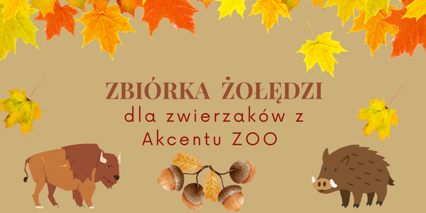Zbieramy Żołędzie (1).png