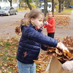 uczennica wrzuca liście do worka