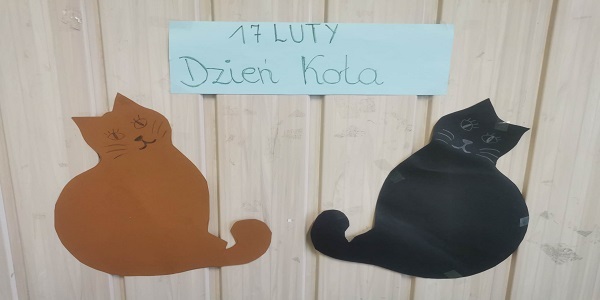 koty.jpg