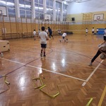 gra w piłkę siatkową