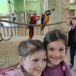dwie dziewczynki, za nimi dwie kolorowe papugi