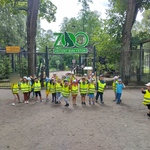 Przedszkolaki w zoo