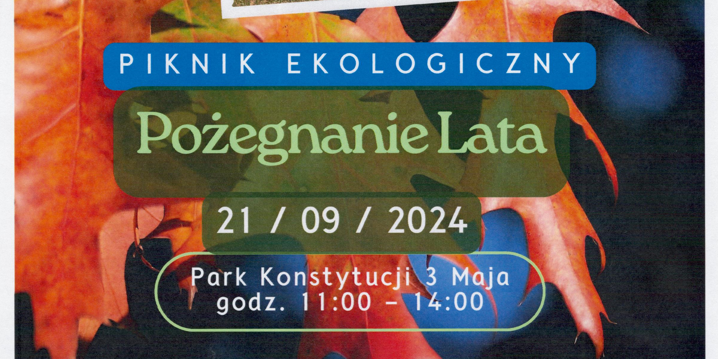 Piknik 2024.png