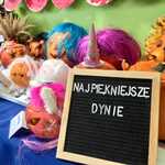 Dynie konkursowe na wystawie