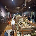 IMG_20241128_124036.jpg