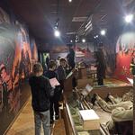 IMG_20241128_123859.jpg