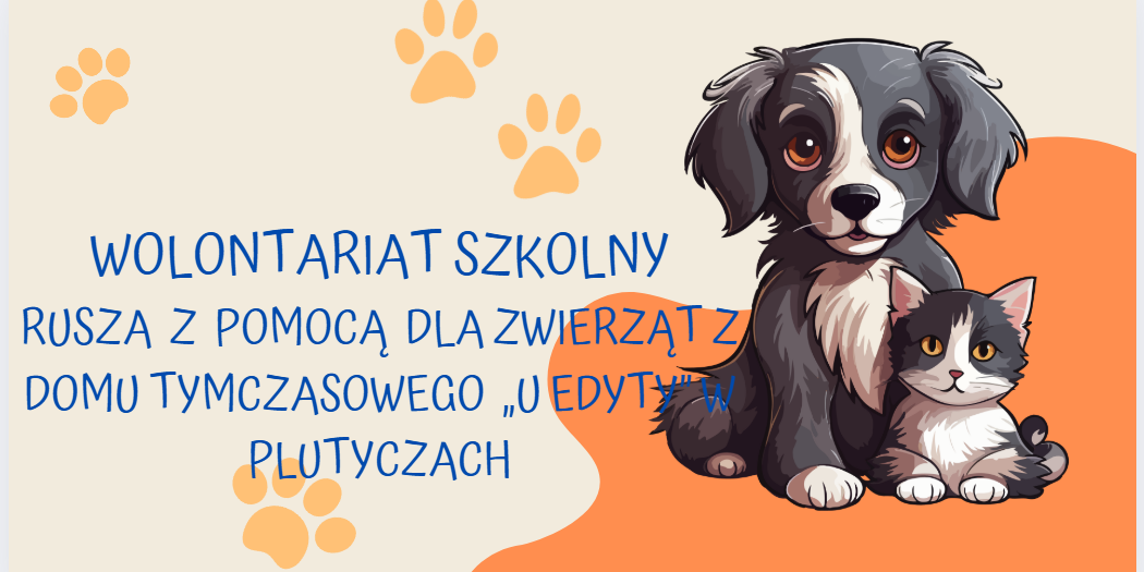 Zrzut ekranu 2025-04-01 120206.png