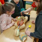 Dzieci uczą się anatomii człowieka